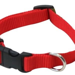 Collar Ajustable para Perro 15.88 mm Nylon Rojo