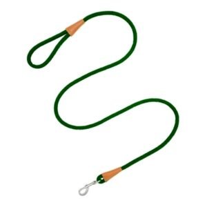 Correa para Perro 1.0 cm x 150 cm Poliester Verde