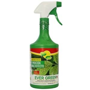 Fungicida Multiefecto EVER GREEN 1 l