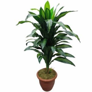 Planta Artificial 150 cm x 70 cm Liston