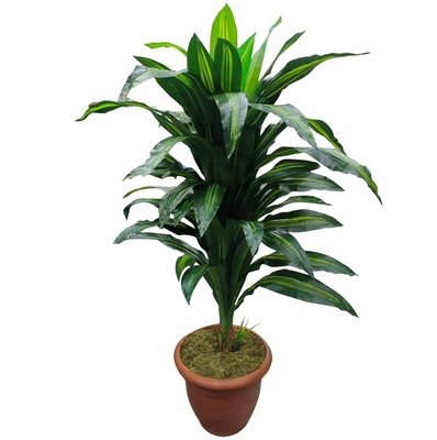 Planta Artificial 150 cm x 70 cm Liston Planta Artificial 150 cm x 70 cm Liston