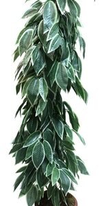 Planta Artificial 170 cm Plastico Ficus Oriental