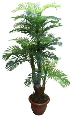 Planta Artificial de Palmera de 160 cm en Plástico, Modelo 2328, SIN MARCA Planta Artificial de Palmera de 160 cm en Plástico, Modelo 2328, SIN MARCA