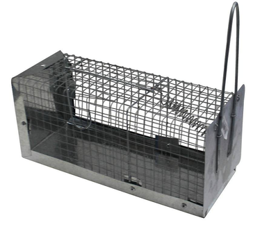 Trampa Artesanal para Roedores Base Lamina 23 cm x 11 cm Trampa Artesanal para Roedores Base Lamina 23 cm x 11 cm